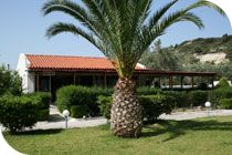 The Snack bar of Hotel Despina